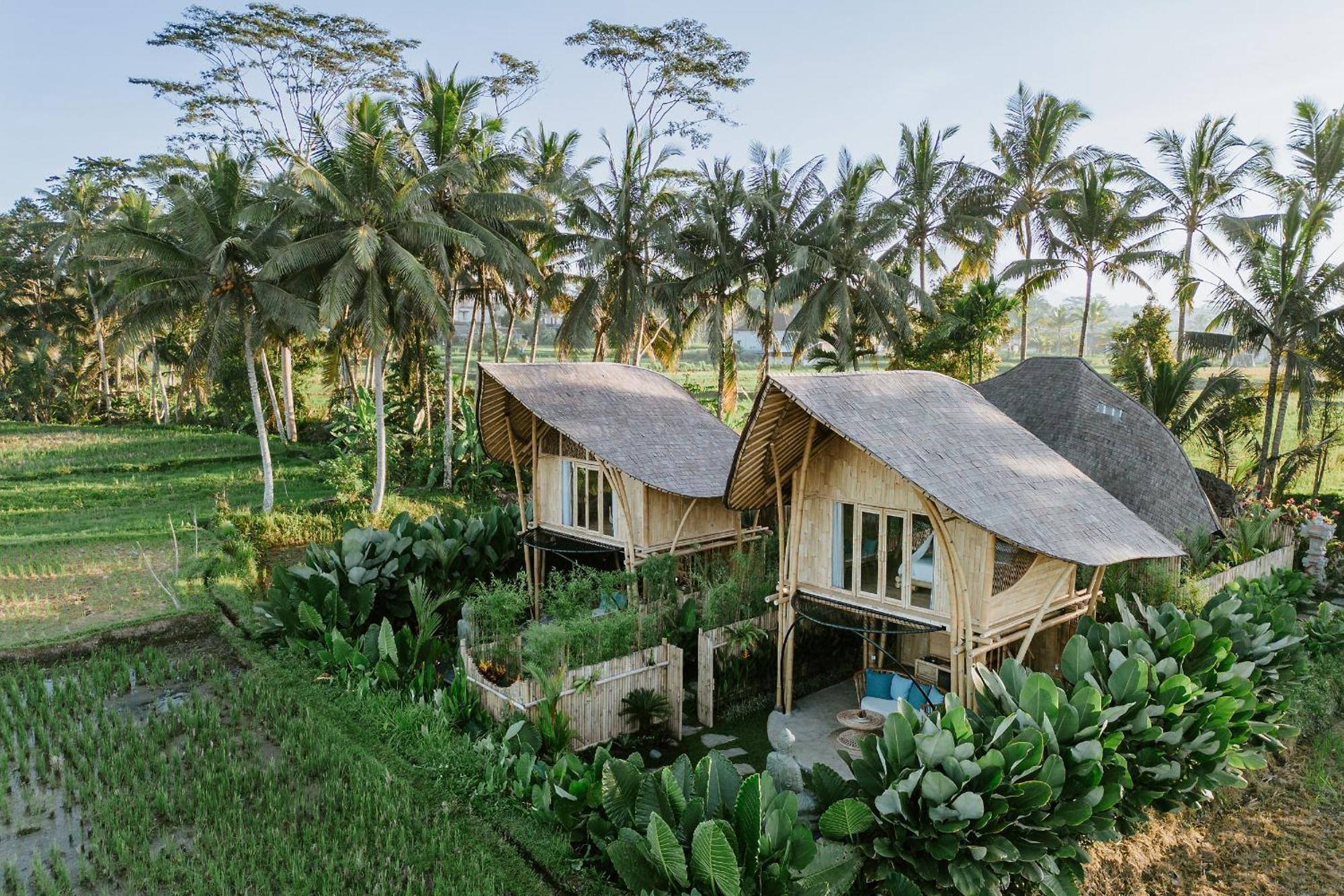 Puca Gavi Eco Luxury Villa Ubud Managed By Manara Eksteriør billede